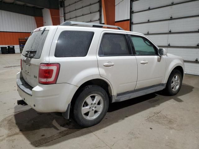 2011 Ford Escape Limited