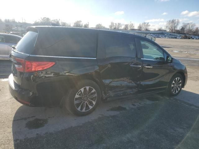 2024 Honda Odyssey EXL