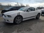 2013 Ford Mustang