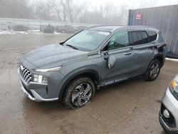 Salvage cars for sale from Copart Franklin, WI: 2023 Hyundai Santa FE SEL Premium