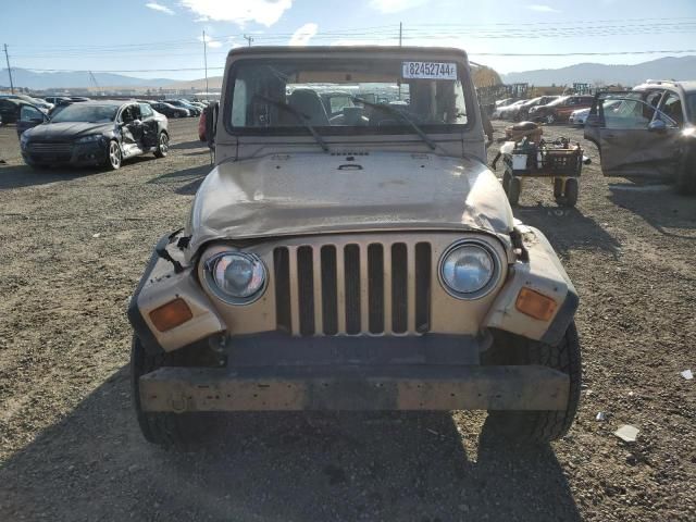 1999 Jeep Wrangler / TJ SE