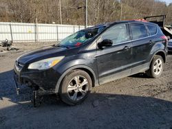 2014 Ford Escape SE en venta en Hurricane, WV