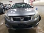 2010 Honda Accord EX