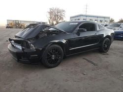 Salvage cars for sale from Copart Albuquerque, NM: 2014 Ford Mustang