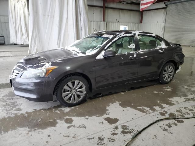 2011 Honda Accord EXL