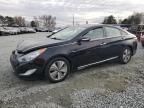 2013 Hyundai Sonata Hybrid