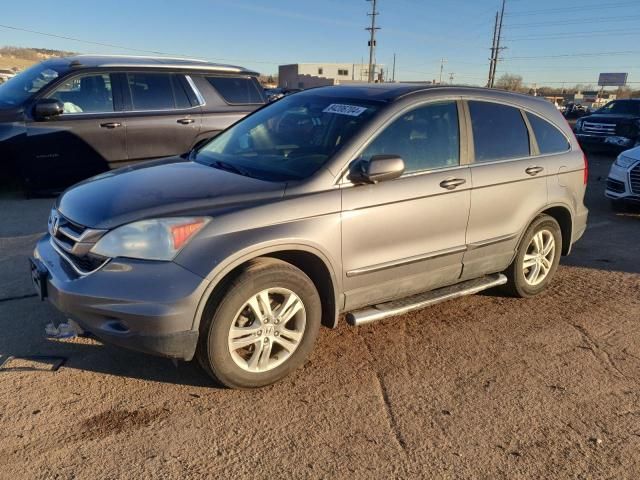 2010 Honda CR-V EXL