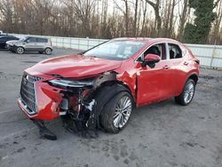 Salvage cars for sale at Glassboro, NJ auction: 2024 Lexus NX 350 Luxury