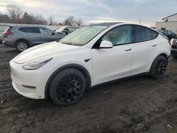 Tesla salvage cars for sale: 2021 Tesla Model Y