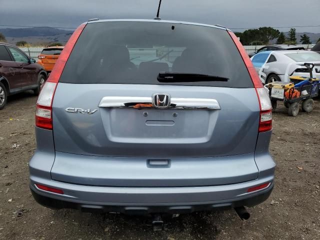 2010 Honda CR-V EXL