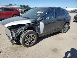 Salvage cars for sale at Harleyville, SC auction: 2022 Ford Escape SEL