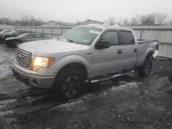 Vehiculos salvage en venta de Copart Albany, NY: 2012 Ford F150 Supercrew