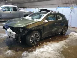 Lexus salvage cars for sale: 2019 Lexus UX 250H