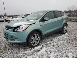 Salvage cars for sale at Lawrenceburg, KY auction: 2013 Ford Escape SEL