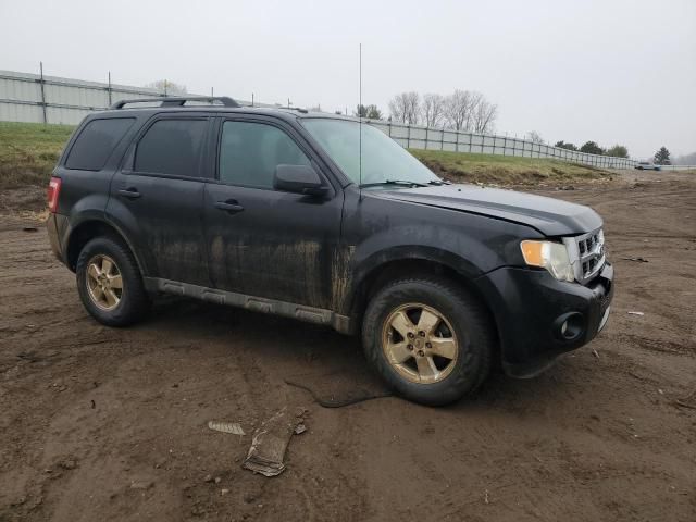 2011 Ford Escape XLT