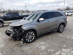 Salvage cars for sale at Lawrenceburg, KY auction: 2014 KIA Sorento SX