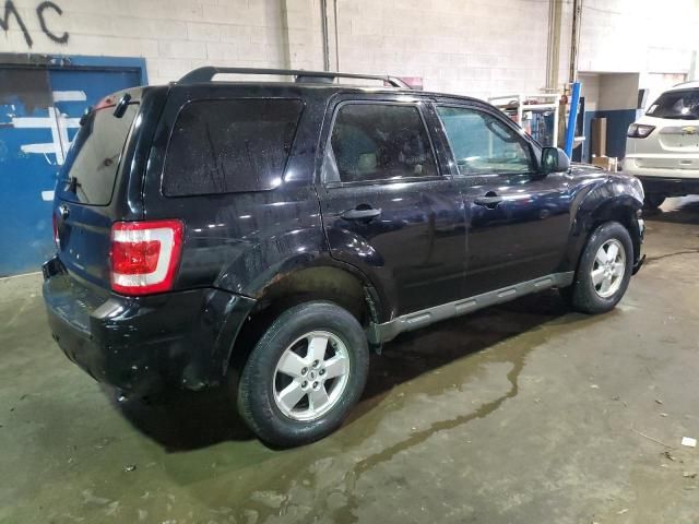 2009 Ford Escape XLT