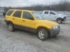 2003 Ford Escape XLT