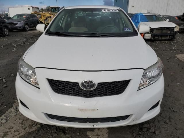 2009 Toyota Corolla Base