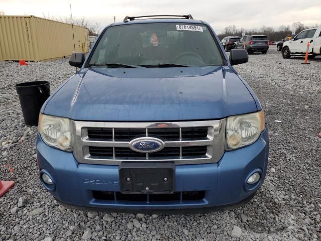 2009 Ford Escape XLT