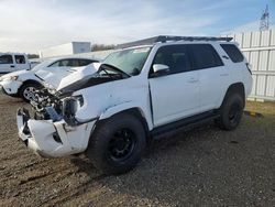 Salvage cars for sale at Anderson, CA auction: 2024 Toyota 4runner SR5 Premium