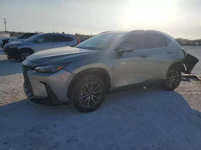 2023 Lexus NX 250