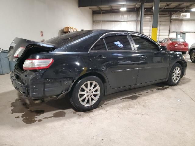 2010 Toyota Camry Hybrid