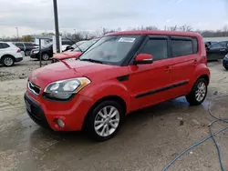 Salvage cars for sale at Louisville, KY auction: 2013 KIA Soul +