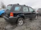 2005 Ford Escape XLS