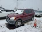 2003 Honda CR-V EX