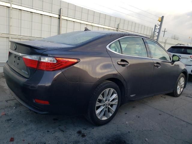 2014 Lexus ES 300H