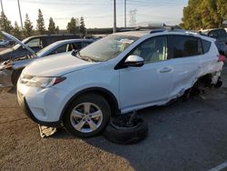 Salvage cars for sale at Rancho Cucamonga, CA auction: 2013 Toyota Rav4 XLE