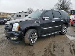 Cadillac salvage cars for sale: 2008 Cadillac Escalade Luxury