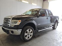 2013 Ford F150 Supercrew en venta en Orlando, FL