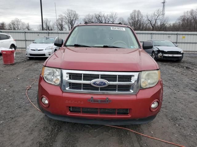 2010 Ford Escape XLT