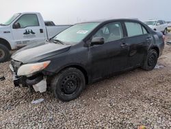 Toyota Corolla Base Vehiculos salvage en venta: 2009 Toyota Corolla Base