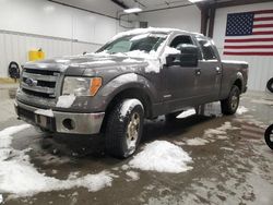 Ford salvage cars for sale: 2013 Ford F150 Supercrew