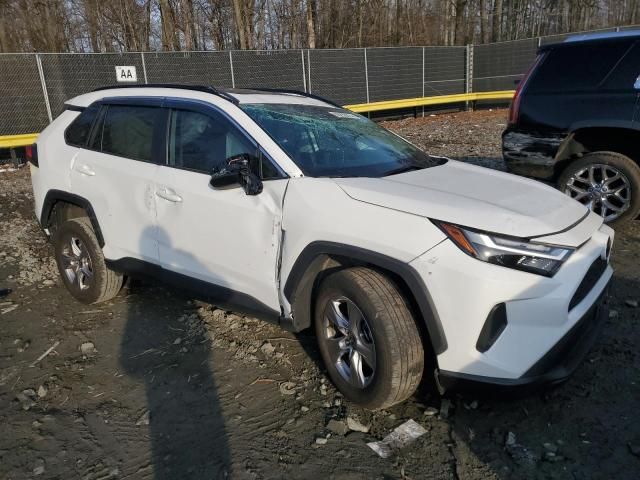 2023 Toyota Rav4 XLE