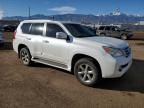 2013 Lexus GX 460 Premium