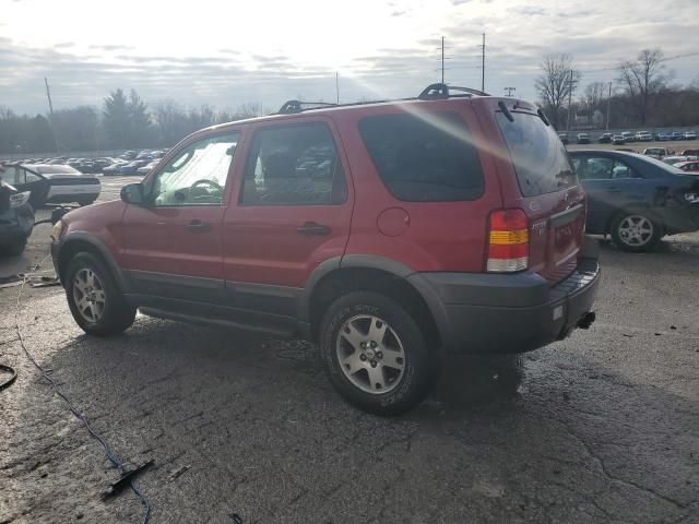 2005 Ford Escape XLT