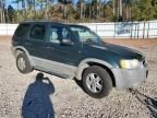 2002 Ford Escape XLT