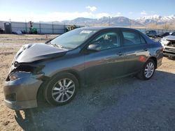 Toyota Vehiculos salvage en venta: 2010 Toyota Corolla Base