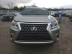 2022 Lexus GX 460