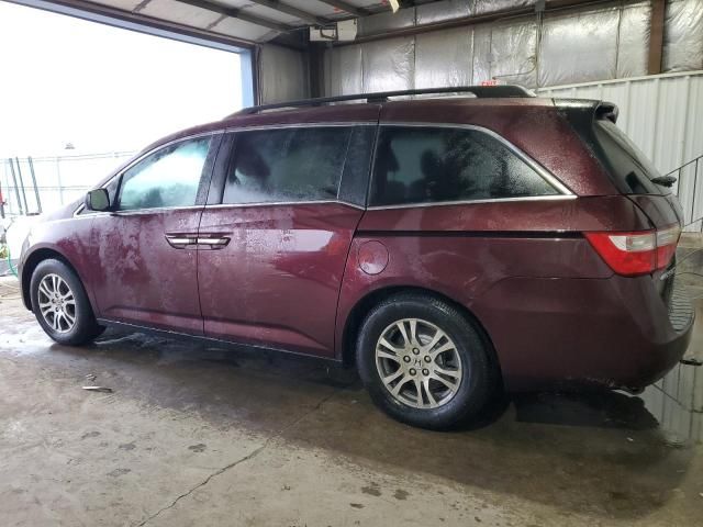 2011 Honda Odyssey EXL