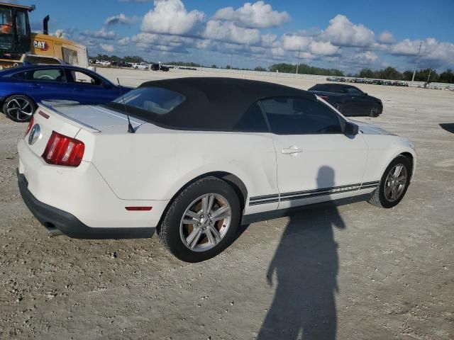 2010 Ford Mustang