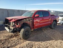 Salvage cars for sale at Phoenix, AZ auction: 2021 Toyota Tacoma Double Cab