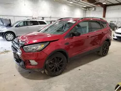 Salvage cars for sale at Milwaukee, WI auction: 2018 Ford Escape SE