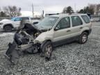 2005 Ford Escape XLS