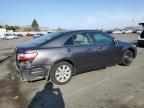 2007 Toyota Camry Hybrid