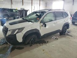 Salvage cars for sale at Lexington, KY auction: 2023 Subaru Forester Wilderness